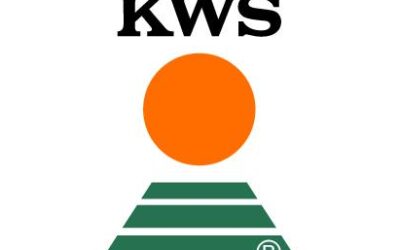 MAIZAR: para KWS la clave es jugar en equipo