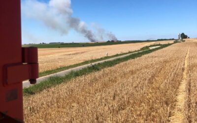 French crops fry in hot, dry season