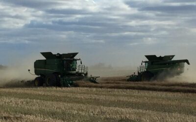 Harvest progress just behind the five year average in Saskatchewan