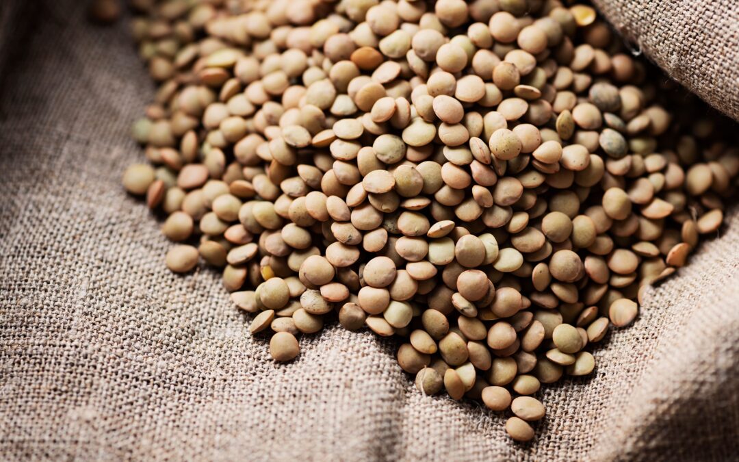 January chickpea exports surge, lentils dip