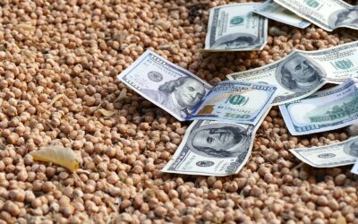 Adrián Poletti: «El dólar agro llega tarde para las Legumbres»