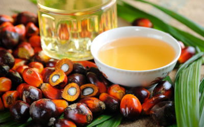 India’s palm oil imports fall 15% to 4.39 lakh tonne in May