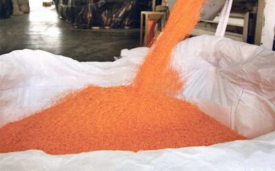 Strong production, uncertain demand dims lentil outlook