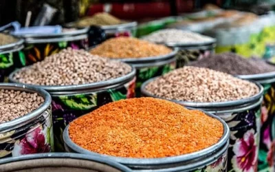 Pulses and soils: a dynamic duo