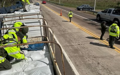 Gendarmería secuestró 57 toneladas de soja y legumbres en Corrientes