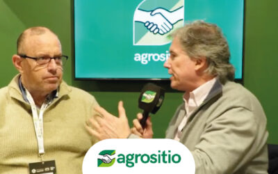 Arveja amarilla: menos herbicidas, más nitrógeno y Maíz tardío de hasta 100 qq