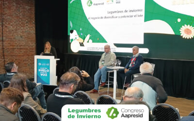 Legumbres: los secretos de los cultivos que juegan un partido decisivo en el mundo